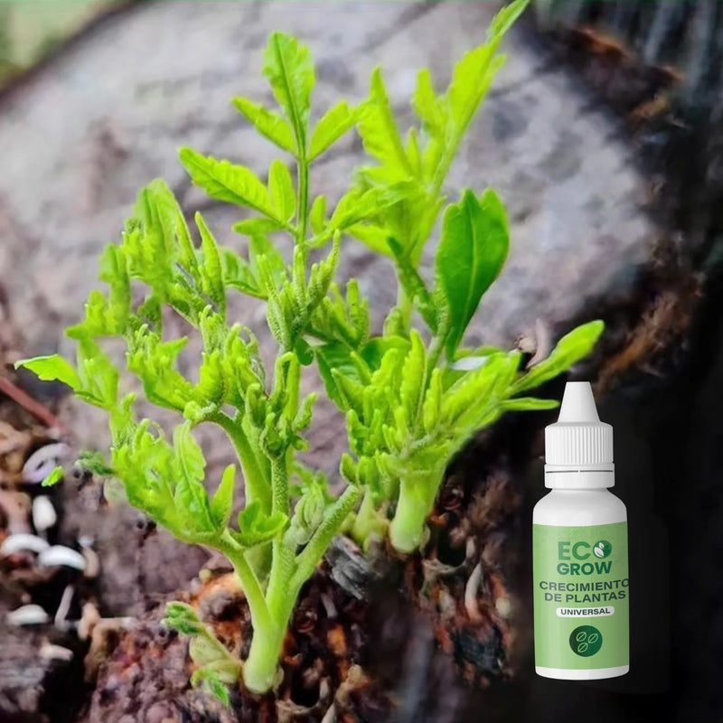 Compre 1 Lleve 2 - EcoGrow Delux Para Plantas