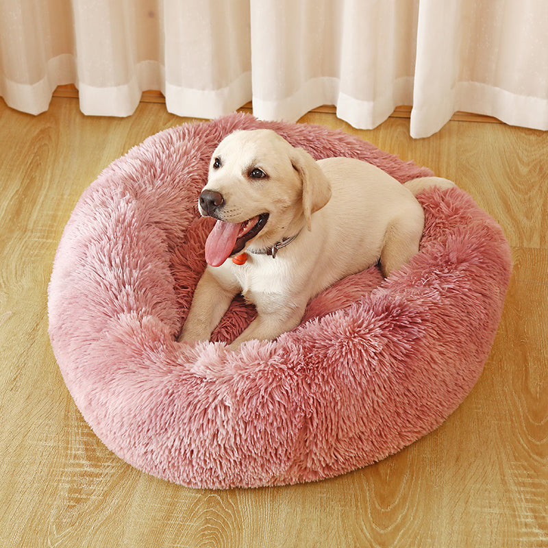 Cama para Cachorro e Gato Caminha Relax™ - Frete Grátis