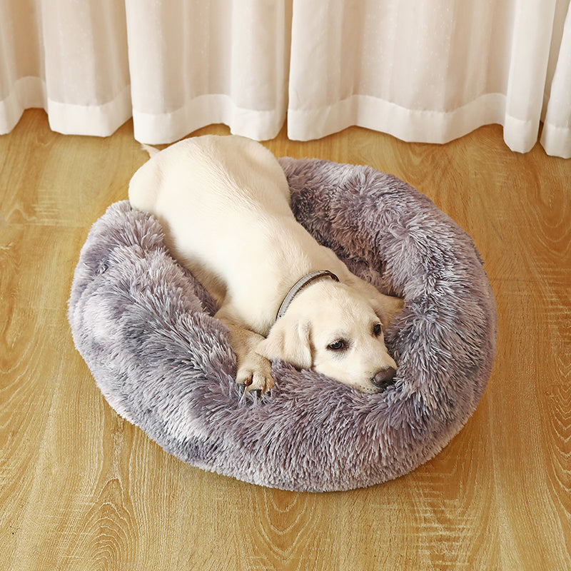 Cama para Cachorro e Gato Caminha Relax™ - Frete Grátis