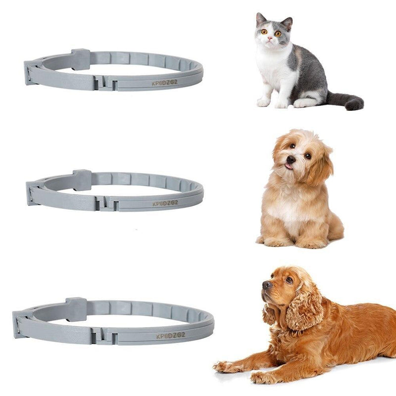 Coleira Anti-Pulgas e Carrapatos Seresto Para Pets - 8 Meses de Proteção