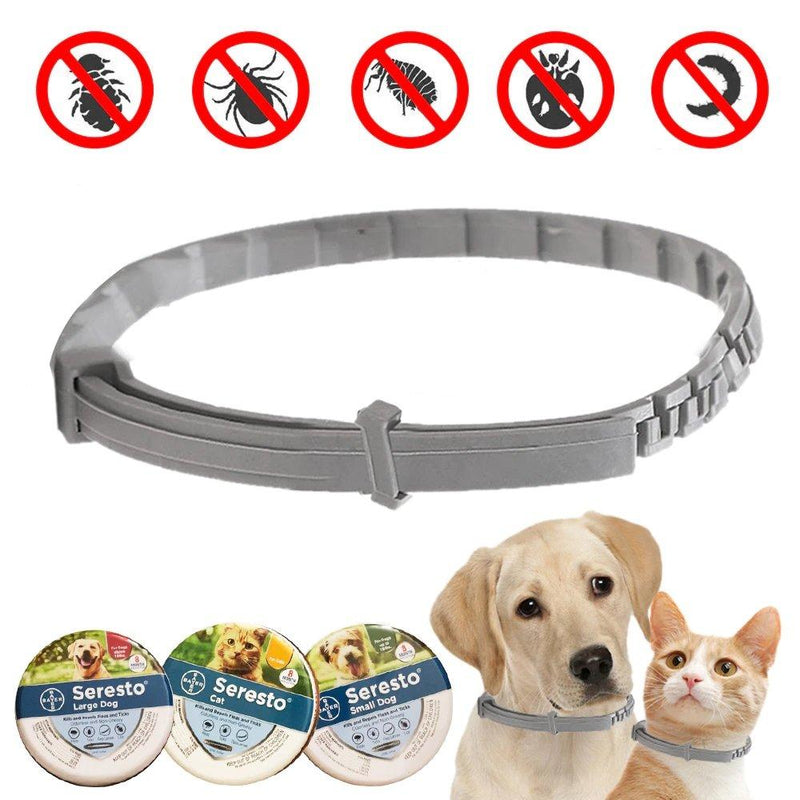 Coleira Anti-Pulgas e Carrapatos Seresto Para Pets - 8 Meses de Proteção