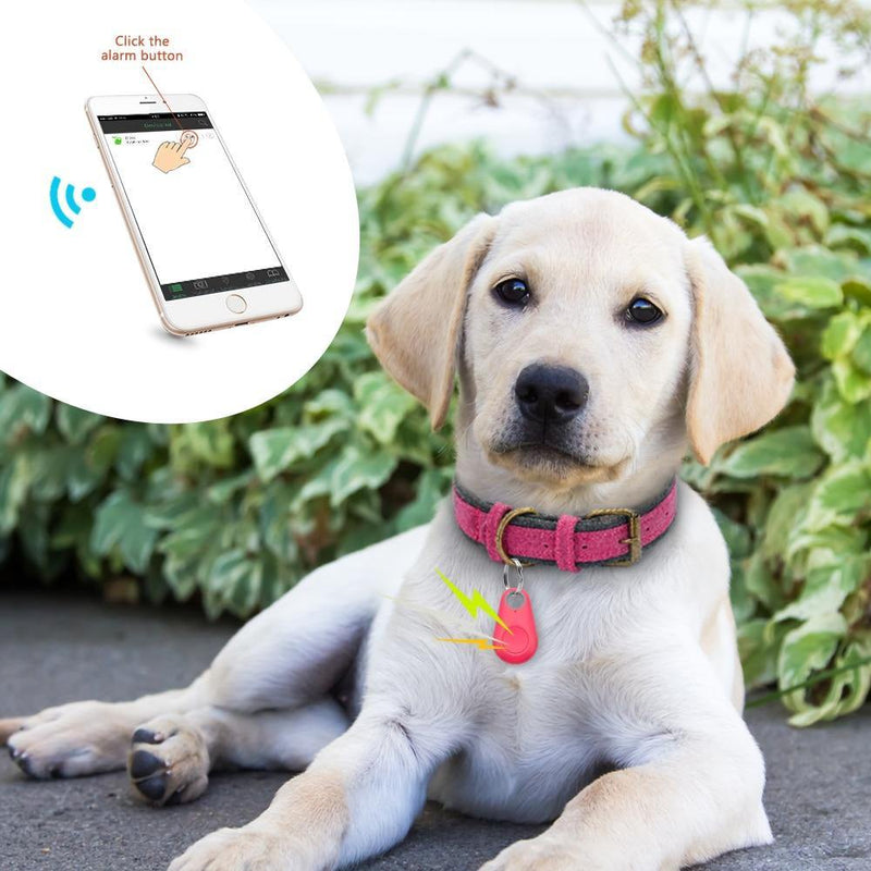 Rastreador GPS Coleira Para Cachorros Gatos Chaves Bolsas Mala Crianças | Frete Grátis