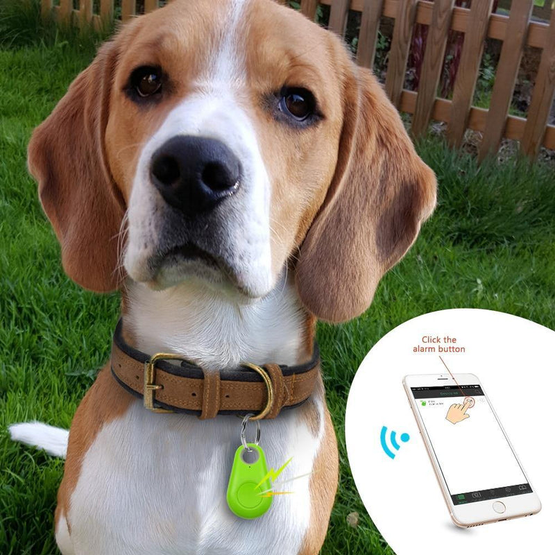 Rastreador GPS Coleira Para Cachorros Gatos Chaves Bolsas Mala Crianças | Frete Grátis