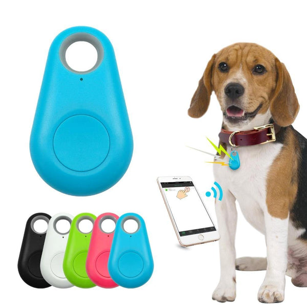 Rastreador GPS Coleira Para Cachorros Gatos Chaves Bolsas Mala Crianças | Frete Grátis